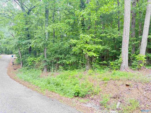 Lot 72 Holiday Shores Rd, Scottsboro, AL, 35769-8400 | Card Image