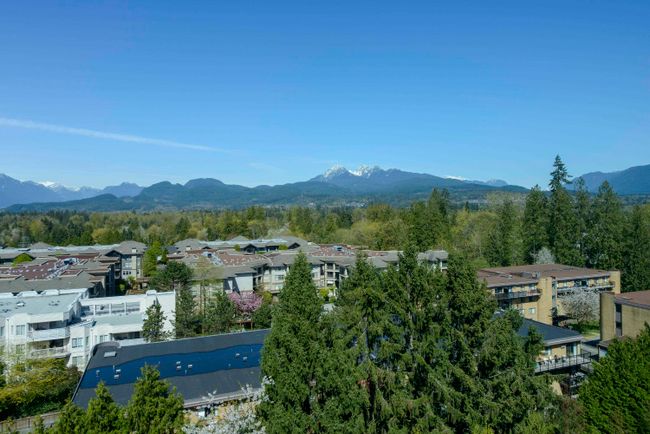 1009 - 12148 224 Street, Condo with 1 bedrooms, 1 bathrooms and 1 parking in Maple Ridge BC | Image 20