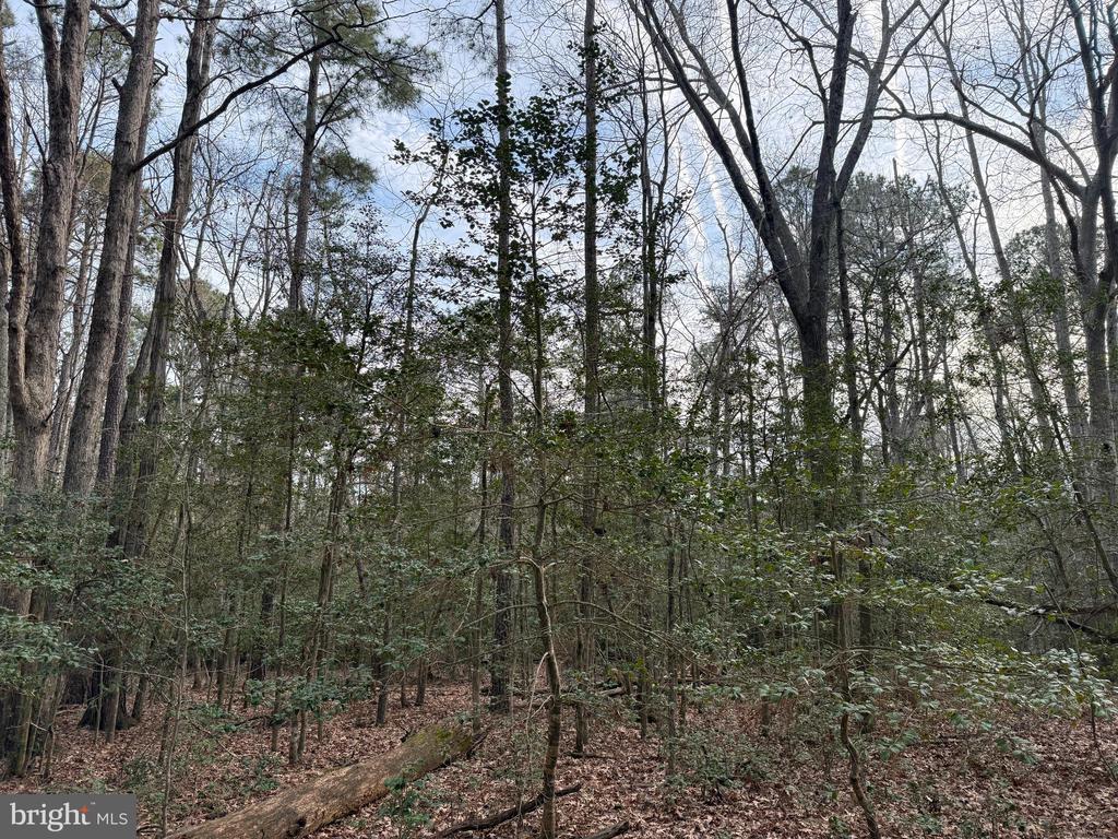 Land in VALLEY LEE 2