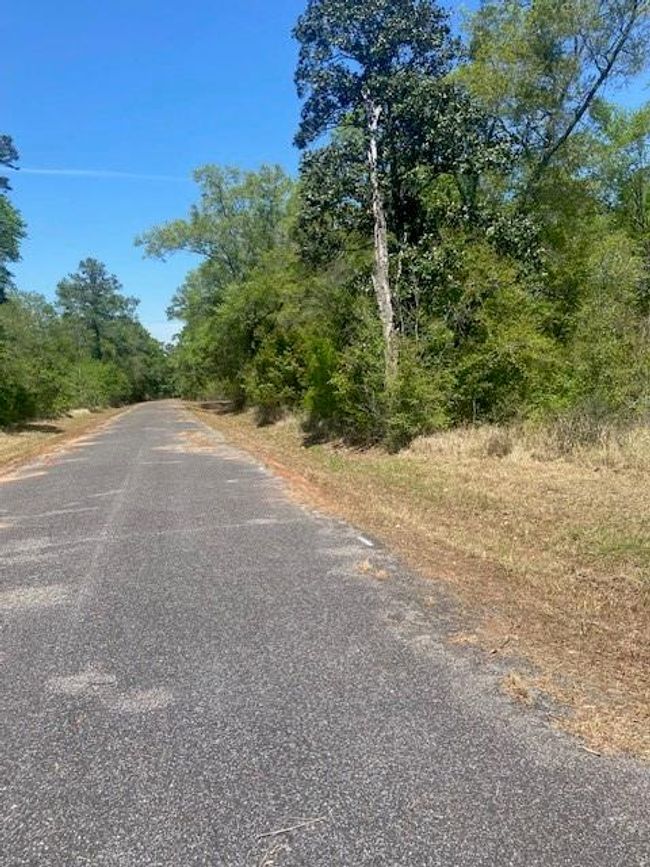 3851 River Rd, Home with 0 bedrooms, 0 bathrooms and null parking in Theodore AL | Image 5