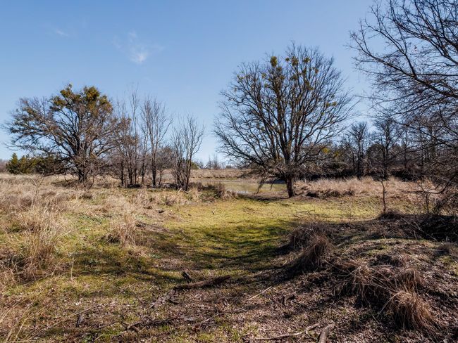 1013 County Road 153, Home with 0 bedrooms, 0 bathrooms and null parking in Blanket TX | Image 12