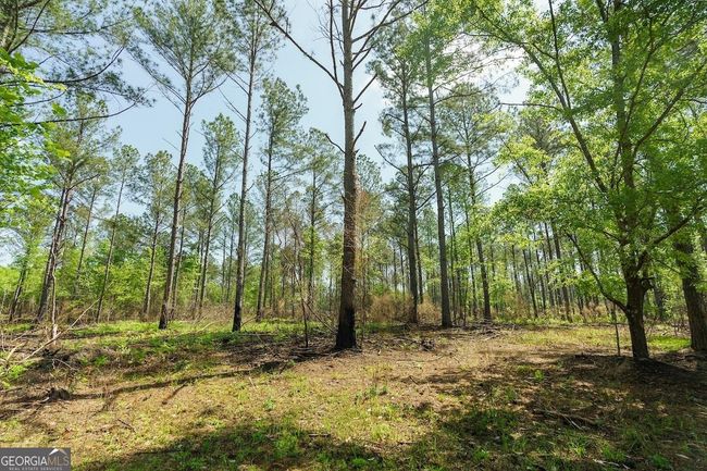 6053 Sun Hill Grange Rd, Home with 0 bedrooms, 0 bathrooms and null parking in Davisboro GA | Image 98