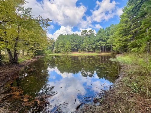 398 Pine Tree Rd, Oxford, AR, 72565-8876 | Card Image