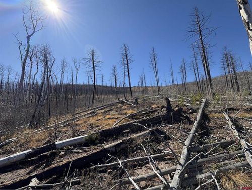 842 Slaoui Pl, Fort Garland, CO, 81133 | Card Image