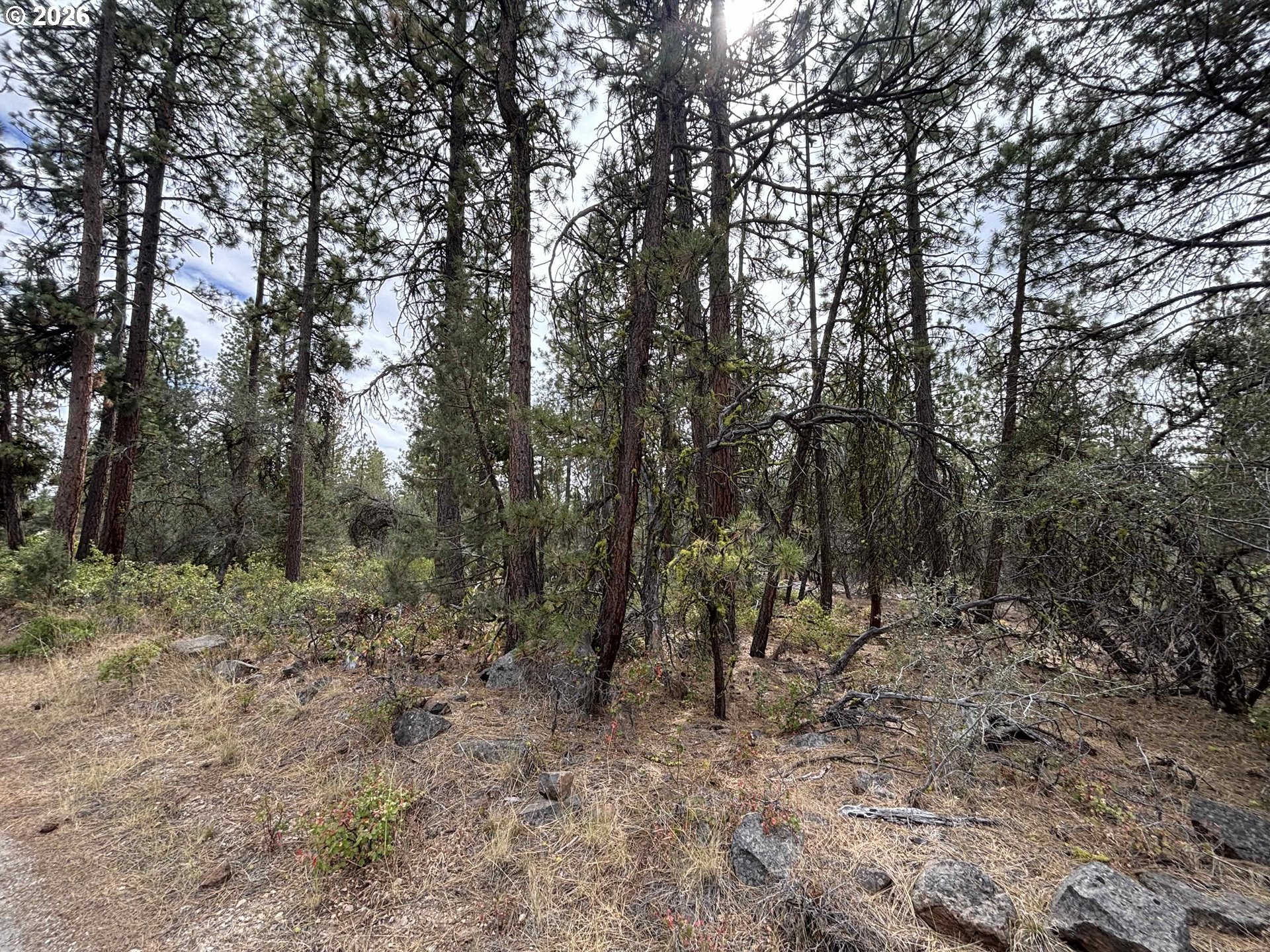 Land in Bonanza 5