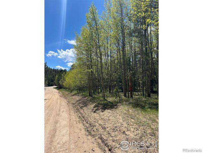 75 Overland Dr, Home with 0 bedrooms, 0 bathrooms and null parking in Ward CO | Image 12