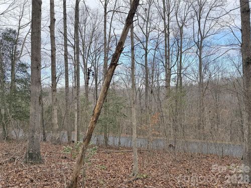 26-0000 W Rambling Creek Dr, Tryon, NC, 28782 | Card Image