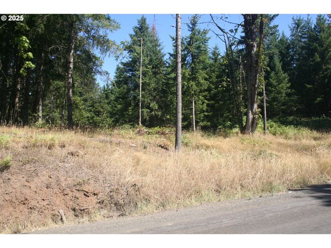 3647 Briar Knob Loop Ne, Home with 0 bedrooms, 0 bathrooms and null parking in Scotts Mills OR | Image 19