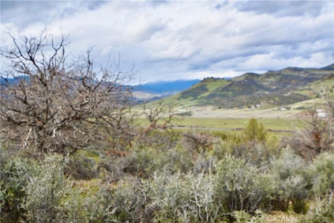 0 Rooster Pl, Home with 0 bedrooms, 0 bathrooms and null parking in Hornbrook CA | Image 10