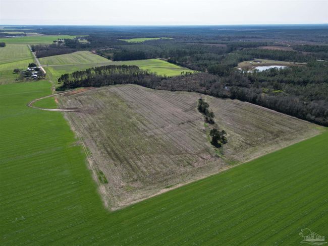 5400 Rockaway Creek Rd, Home with 0 bedrooms, 0 bathrooms and null parking in McDavid FL | Image 16
