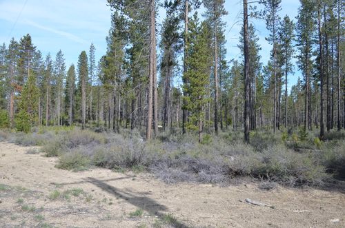  Bitterbrush Lane, Crescent, OR, 97733 | Card Image