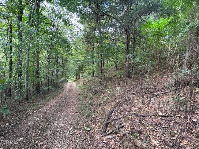 road through the property | Image 13