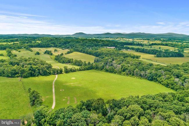 8160 Frogtown Rd, Home with 0 bedrooms, 0 bathrooms and null parking in MARSHALL VA | Image 4