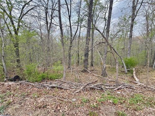 TBD Gillingham Dr, Bella Vista, AR, 72715 | Card Image