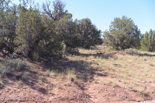 4211 Sorrel Rd, Snowflake, AZ, 85937-6782 | Card Image