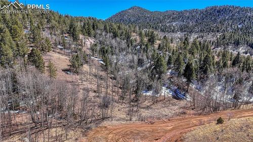 513 Last Dollar Dr, Cripple Creek, CO, 80813 | Card Image