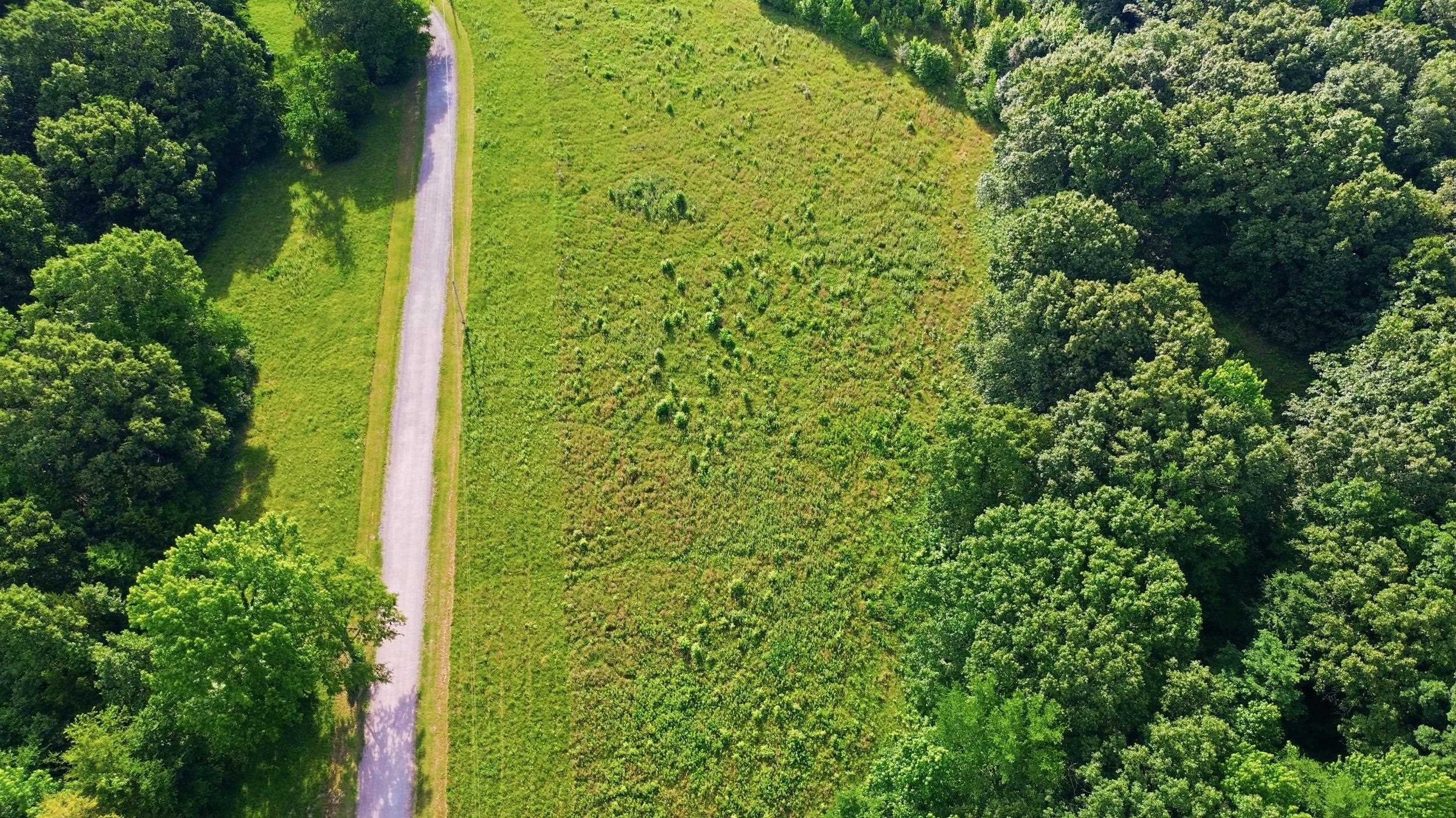 Land in Eads 4