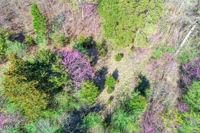 000 Sensabaugh Hollow Rd, Home with 0 bedrooms, 0 bathrooms and null parking in Church Hill TN | Image 11