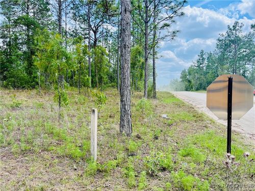 0000 Ne 131st Ter, Williston, FL, 32696 | Card Image