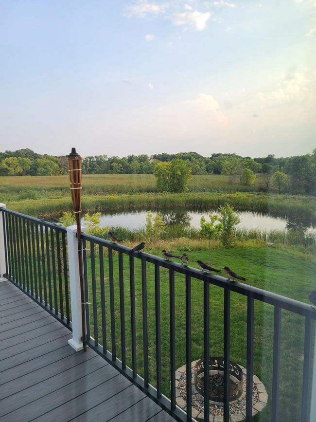 Fire pit.jpg | Image 45