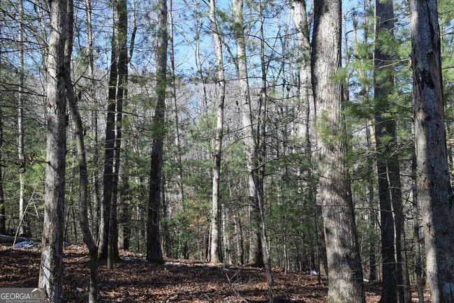 EM3421 - LT 3421 Hart Ct, Home with 0 bedrooms, 0 bathrooms and null parking in ELLIJAY GA | Image 8