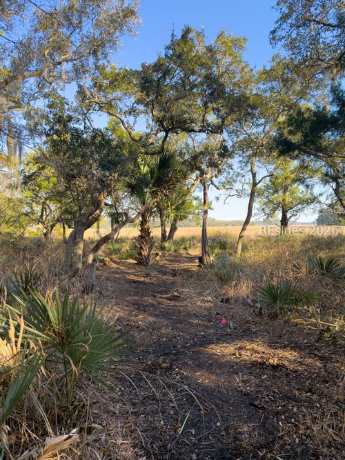 45 S Huspah Ct, Seabrook, SC, 29940-2818 | Card Image