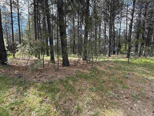 17XXX N Saddle Hill Ln, Colbert, WA, 99005 | Card Image
