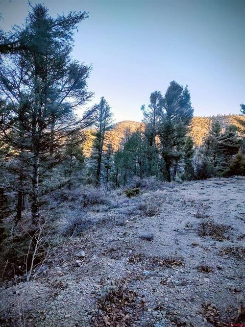 5701 Dettman Rd, Fort Garland, CO, 81133 | Card Image