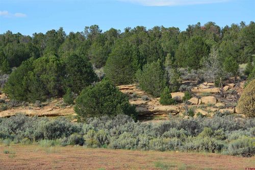 TBD County Road 109, Hesperus, CO, 81326 | Card Image