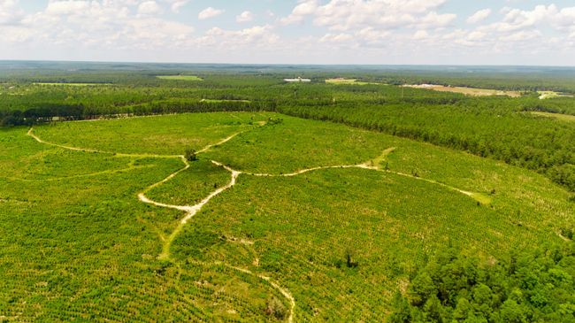 1 Three Notch Rd, Home with 0 bedrooms, 0 bathrooms and null parking in Monetta SC | Image 8