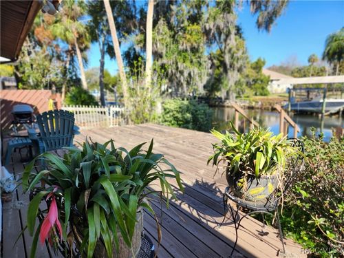 11583 W Riverhaven Dr, HOMOSASSA, FL, 34448-3770 | Card Image