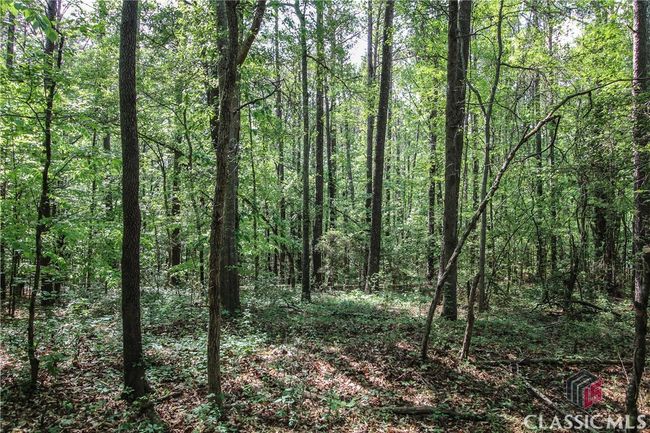 1040 Bridlegate Dr, Home with 0 bedrooms, 0 bathrooms and null parking in Watkinsville GA | Image 7