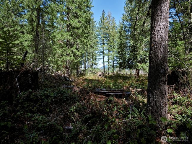 Acreage | Image 22