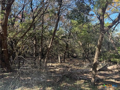 5982 Buggy Ride Rd, Temple, TX, 76502-6580 | Card Image