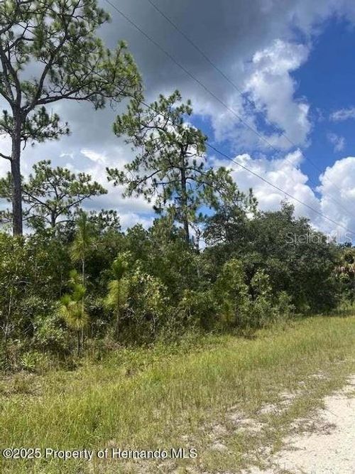 0 0 Yellow Frog Avenue, Weeki Wachee, FL, 34614 | Card Image
