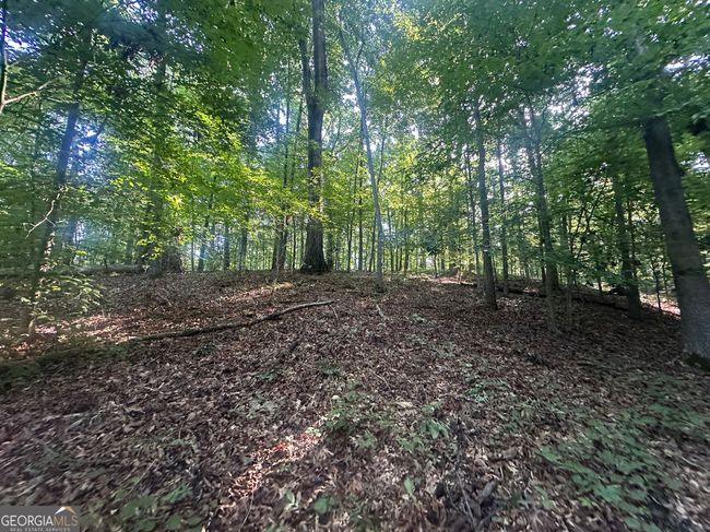 0 Highway 72 E, Home with 0 bedrooms, 0 bathrooms and null parking in Carlton GA | Image 7
