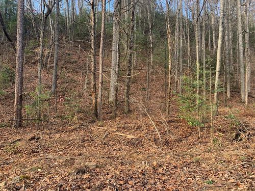 Lot #76 Ten Pointe Trail, Murphy, NC, 28906 | Card Image