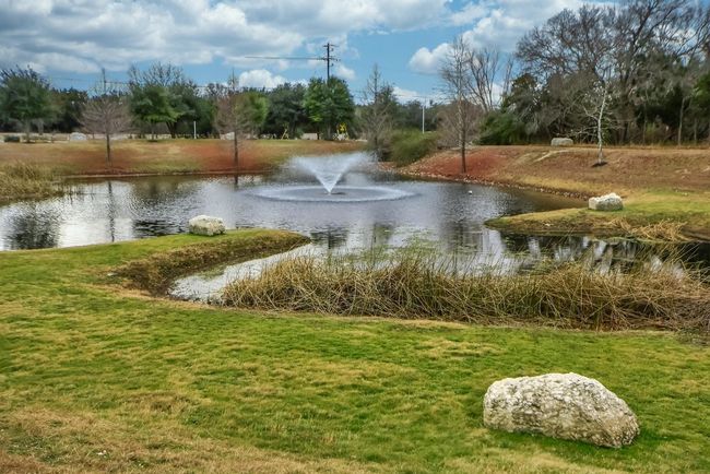 Forest Oaks Community Pond | Image 35