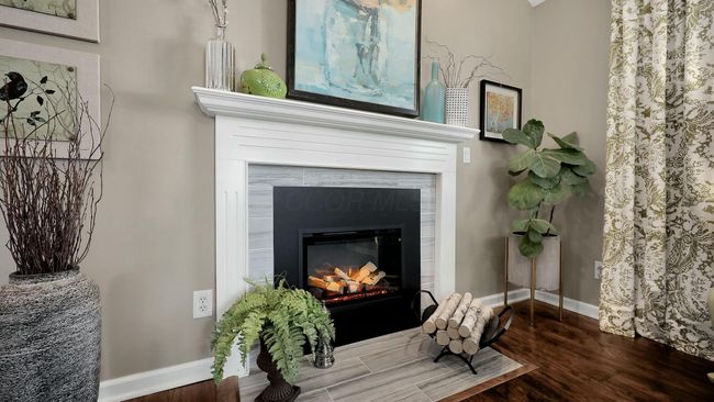 Electric Fire Insert | Image 5