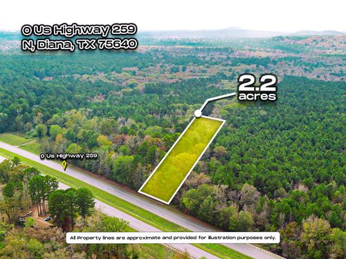0 Us Highway 259 N, Diana, TX, 75640 | Card Image
