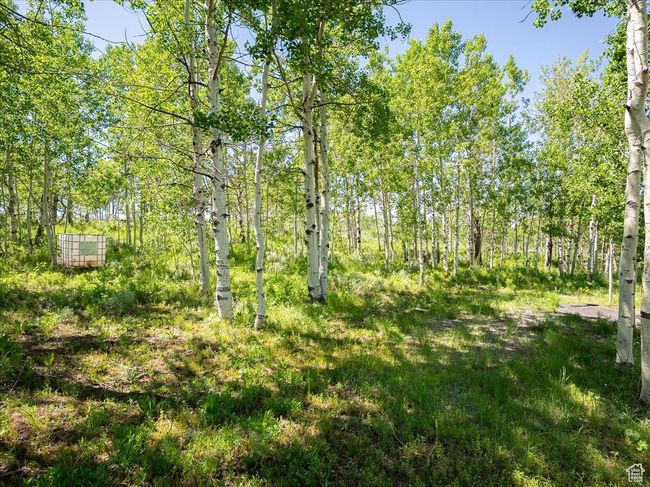 RV/Camp Area in Aspen Grove | Image 25