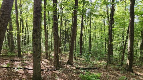 0 Hard Knocks Rd, Unadilla, NY, 13849 | Card Image