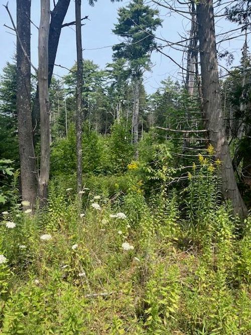 41 Broad Cove Road W, Waldoboro, ME, 04572 | Card Image