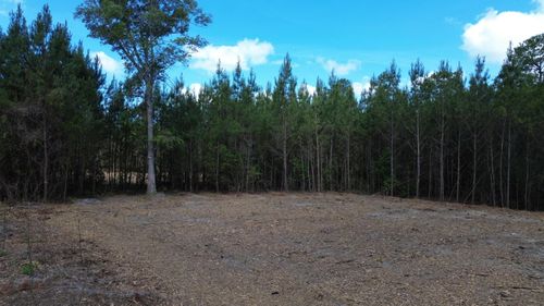 4 Highway 311, Cross, SC, 29436 | Card Image