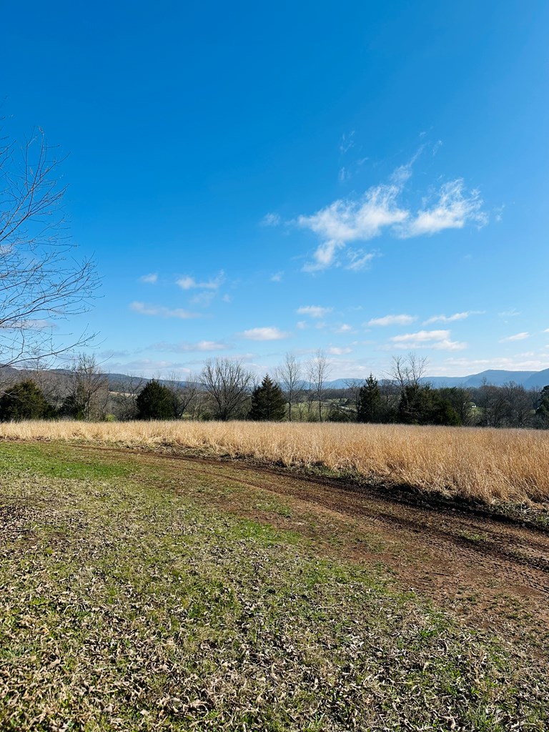 Land in Pikeville 5