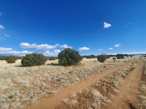 8 County Road 5203, Concho, AZ, 85924 | Card Image