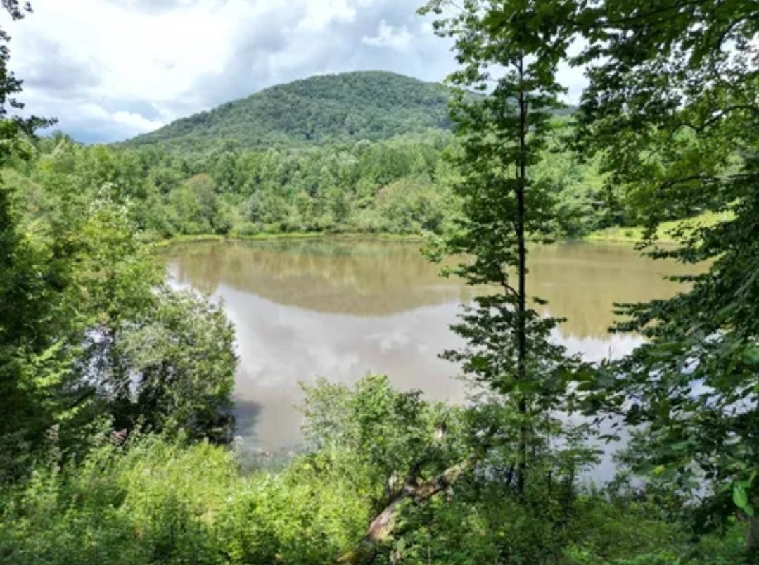 Land in Pickens