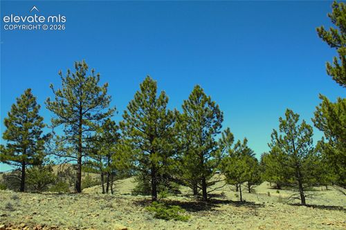 12451 Us Highway 24, HARTSEL, CO, 80449 | Card Image