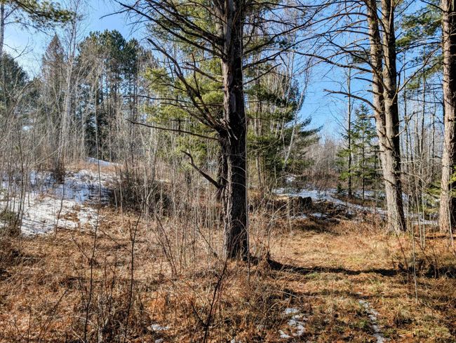 N12912 State Highway 13, House other with 2 bedrooms, 1 bathrooms and null parking in Fifield WI | Image 23