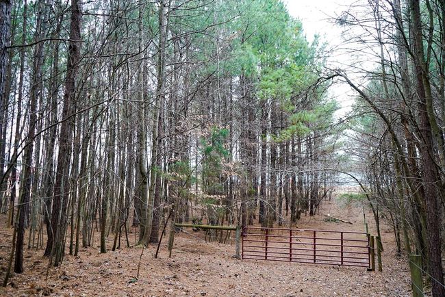 4031 Marion Rd, Home with 0 bedrooms, 0 bathrooms and null parking in Chatham VA | Image 29